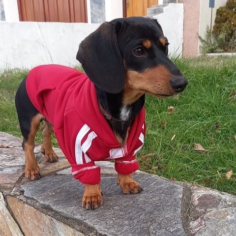 Campera Deportiva con forro polar