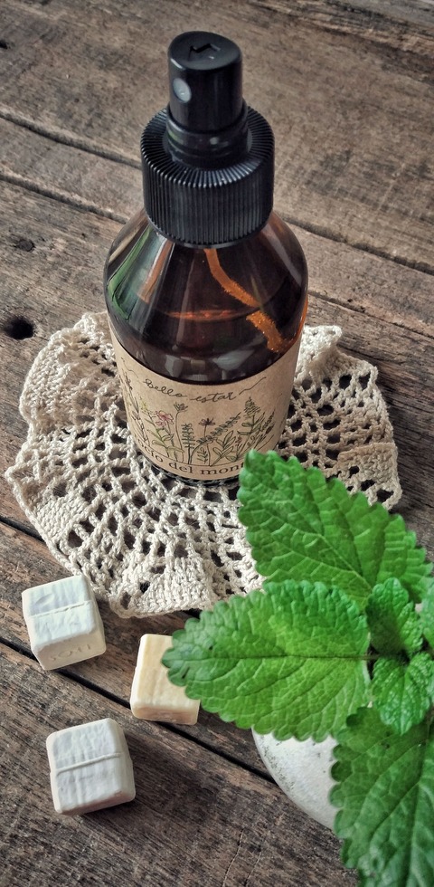 Rocio del Monte . Menta .