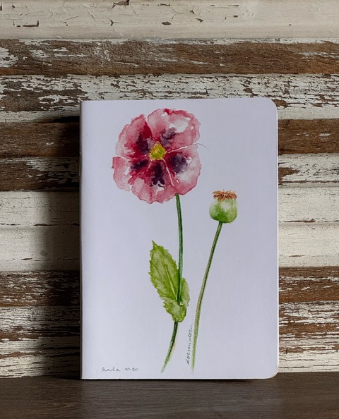 Cuaderno A6. Ilustrado. 