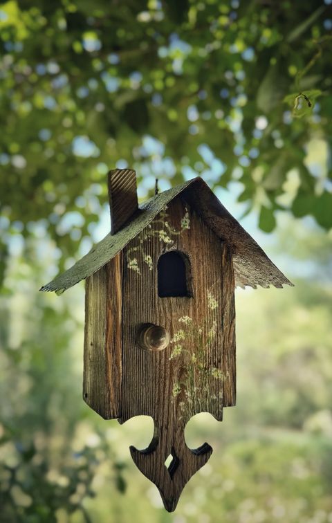 Casa de pajaros Tacuarita