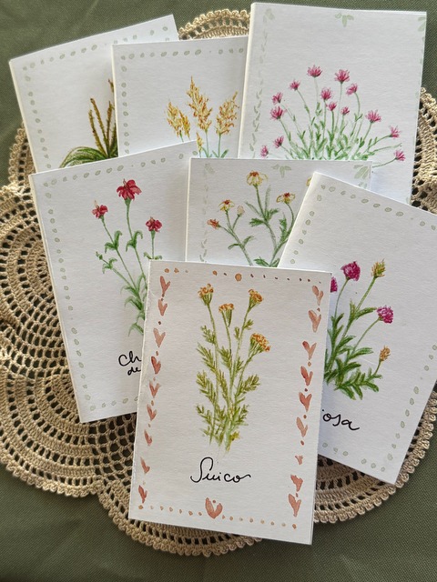 Postal con semillas de flores silvestres.