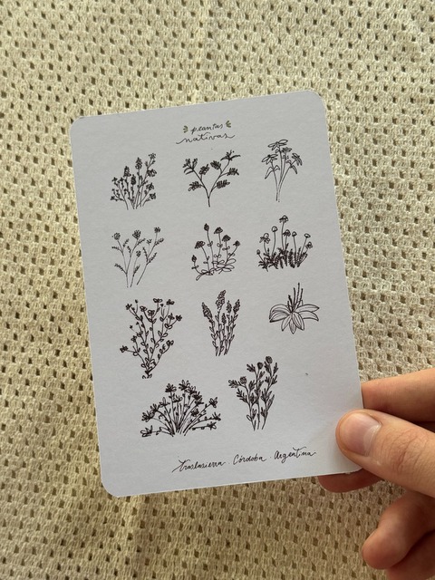 Postal Ilustrada.