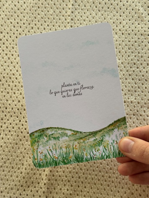 Postal Ilustrada.