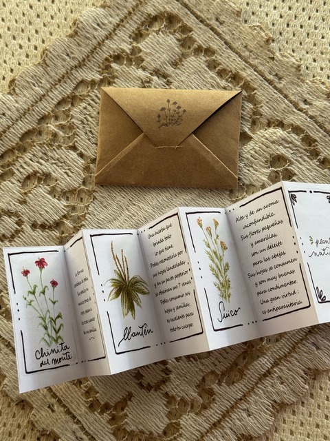 Mini librito de plantas nativas.