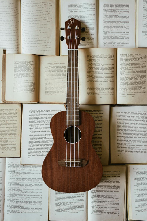 UKELELE - NIVEL PRINCIPIANTE - ¡HOY 30% OFF!