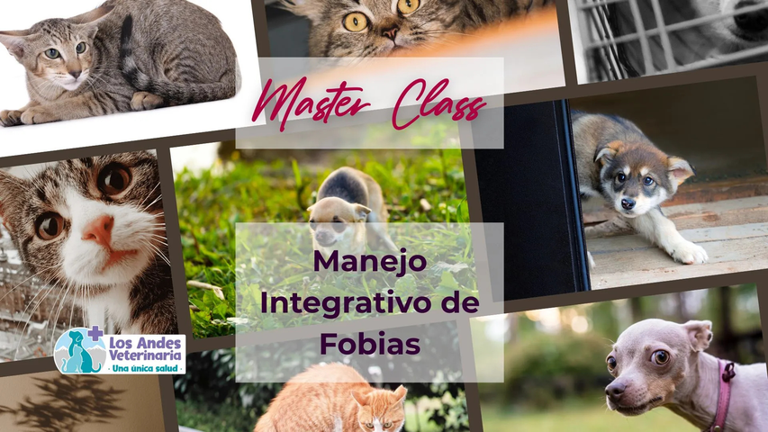 Masterclass: Manejo Integral de Fobias 