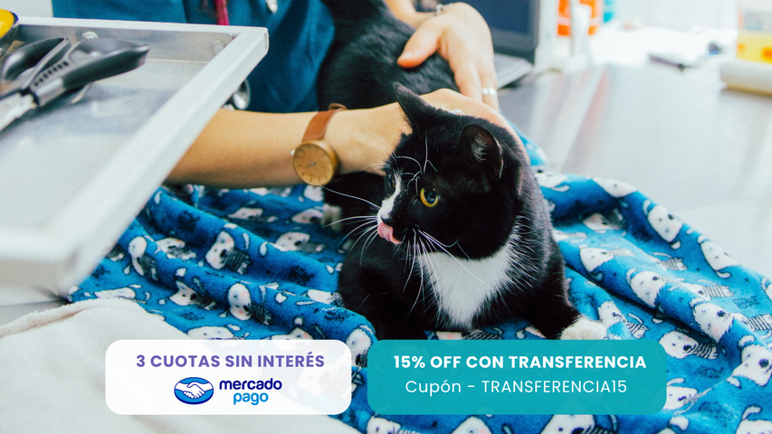 Cápsula Renal - Medicina Integrativa