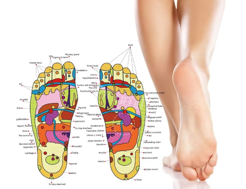 La Arquitectura del Sostén: Por qué tu piel se sana en la planta de tus pies