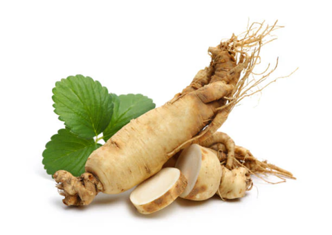 El Tratado del Ginseng: La Raíz Humana que Gobierna la Medicina China y la Estética Coreana