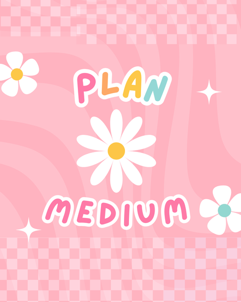 Plan Medium