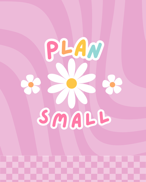 Plan Small 