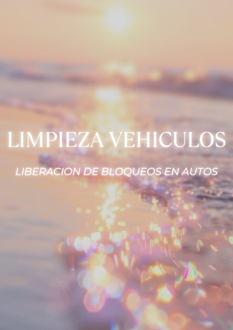 🚗Limpieza de vehiculos