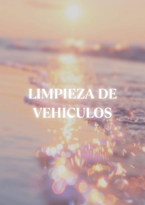 Limpieza de Vehículos 🚗