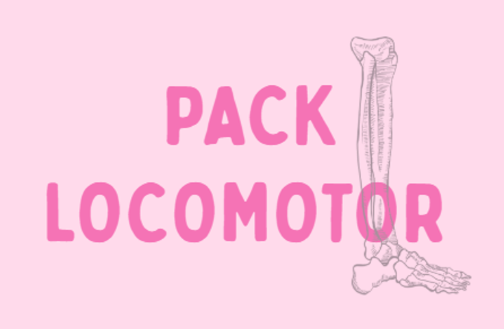 Final - Locomotor