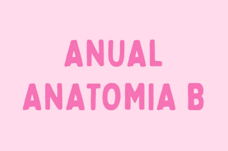 Anual - Anatomia B