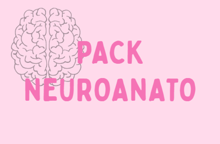 Final - Neuroanatomia
