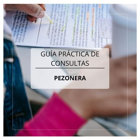 Guía Práctica de Consultas de Lactancia: pezonera