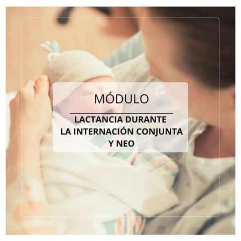 Módulo: La lactancia durante la internación conjunta y Neo
