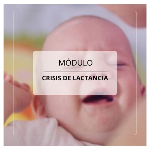 Módulo: ¿Crisis de lactancia?