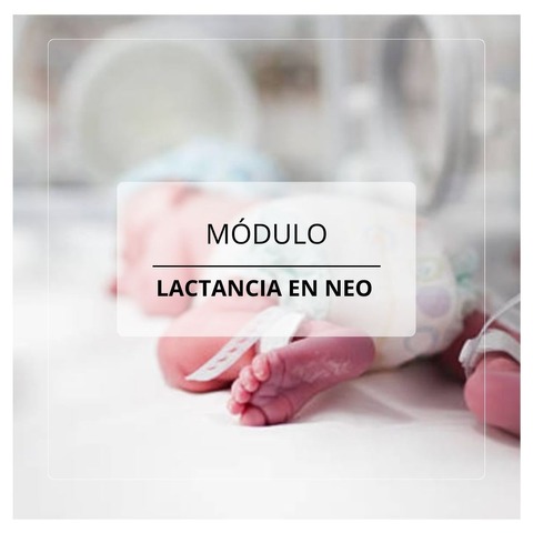 Módulo: Lactancia en Neo