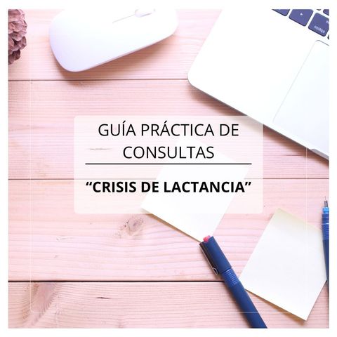 Guía Práctica de Consultas de: 