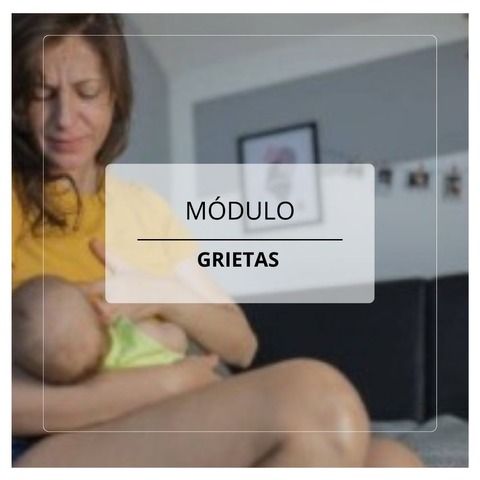 Módulo: Grietas