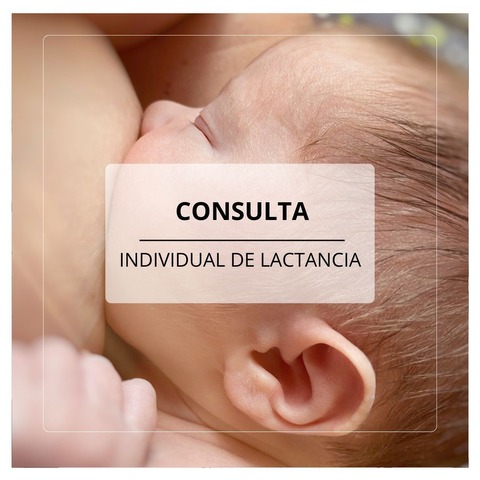 Consulta individual de lactancia