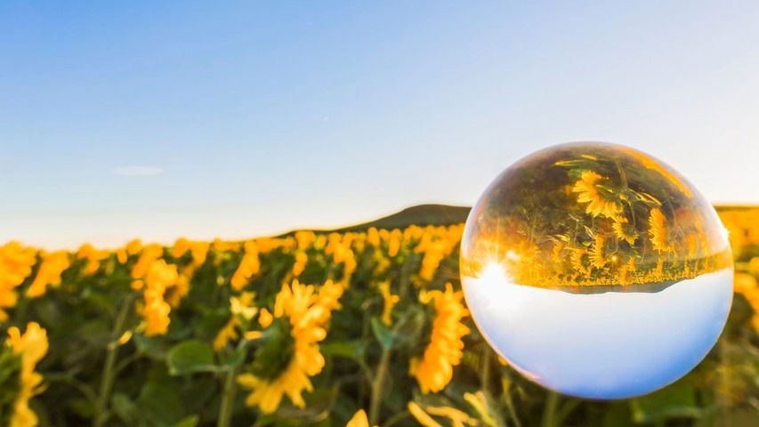 Práctica de Primavera: Qigong para flexibilizar, gestionar el enojo y más...