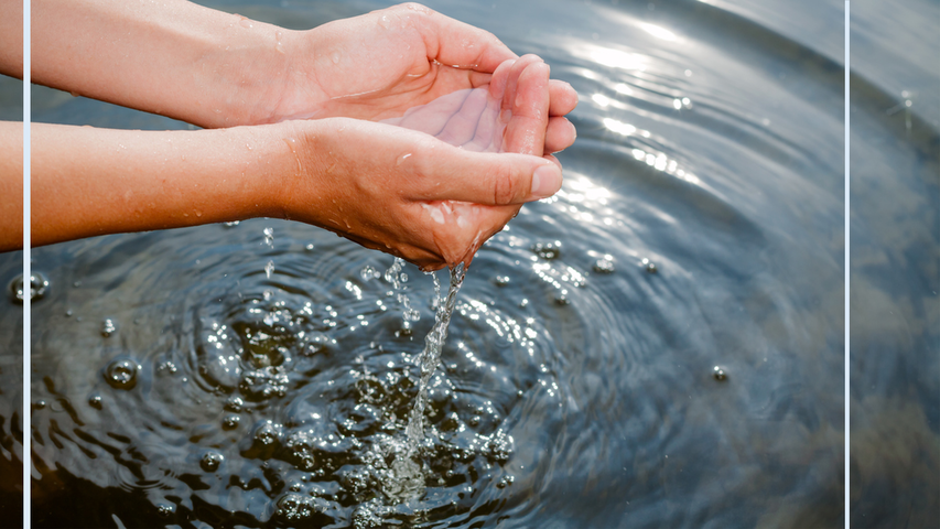 Meditaciones Somáticas Taoístas #3: Seguridad, voluntad y paciencia