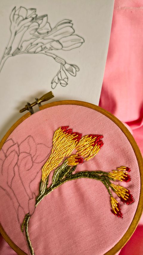 Archivo botánico: Edición de Oro 