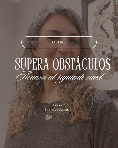Supera obstáculos y avanza al siguiente nivel