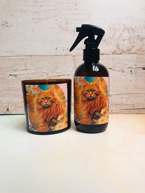 Combo Purrrfect Scent GATO NARANJA