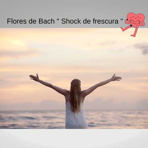 Floral Shock de frescura 