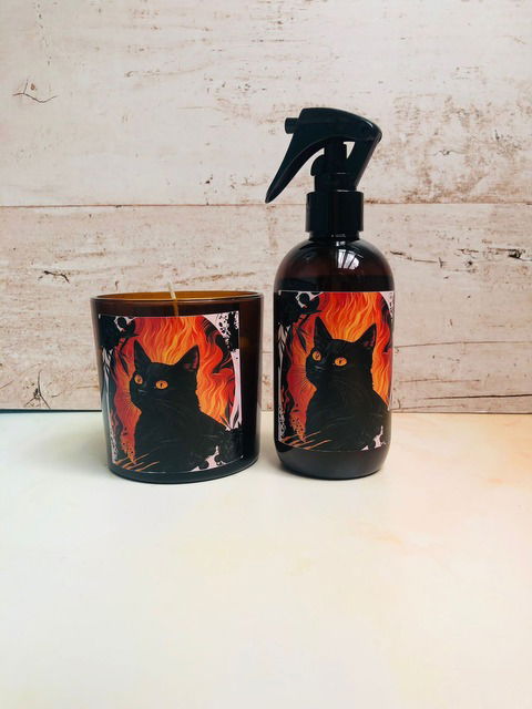 Combo Purrrfect Scent GATO NEGRO