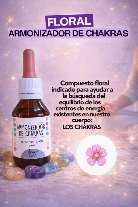 Armonizador de Chakras