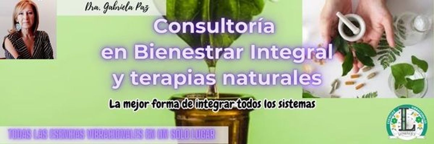 Programa Consultora en Bienestar Integral y Terapias Naturales