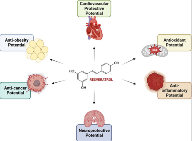 Resveratrol 