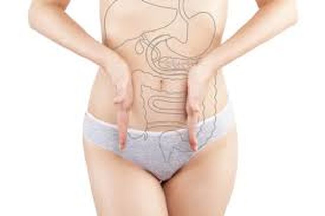 Intestino 
