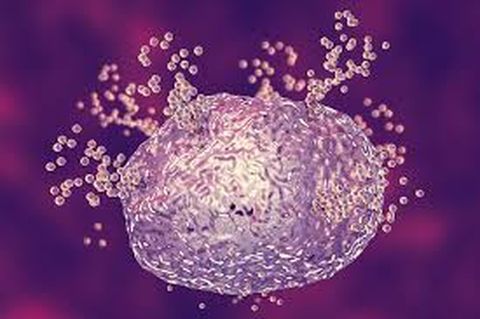 Histaminosis