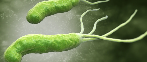 Helicobacter pylori: otra mirada