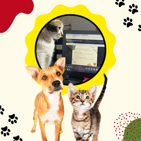 Control Nutricional para 2 animales