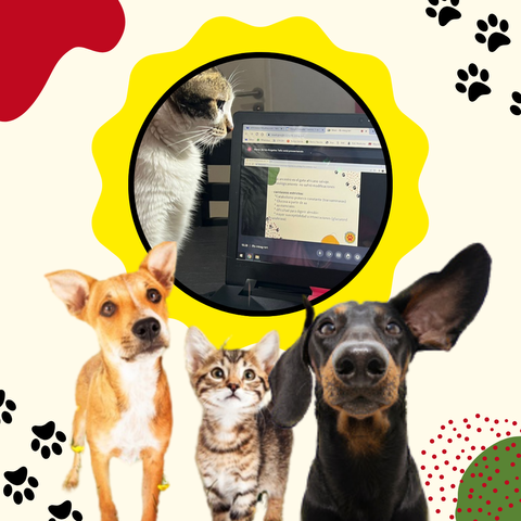 Control Nutricional para 3 animales