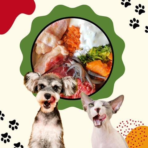 Asesoría Nutricional Personalizada para 2 animales