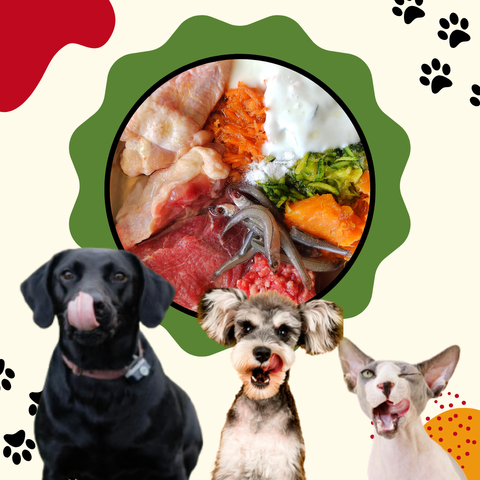 Asesoría Nutricional Personalizada para 3 animales
