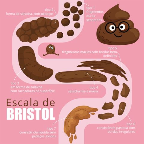 Escala de bristol