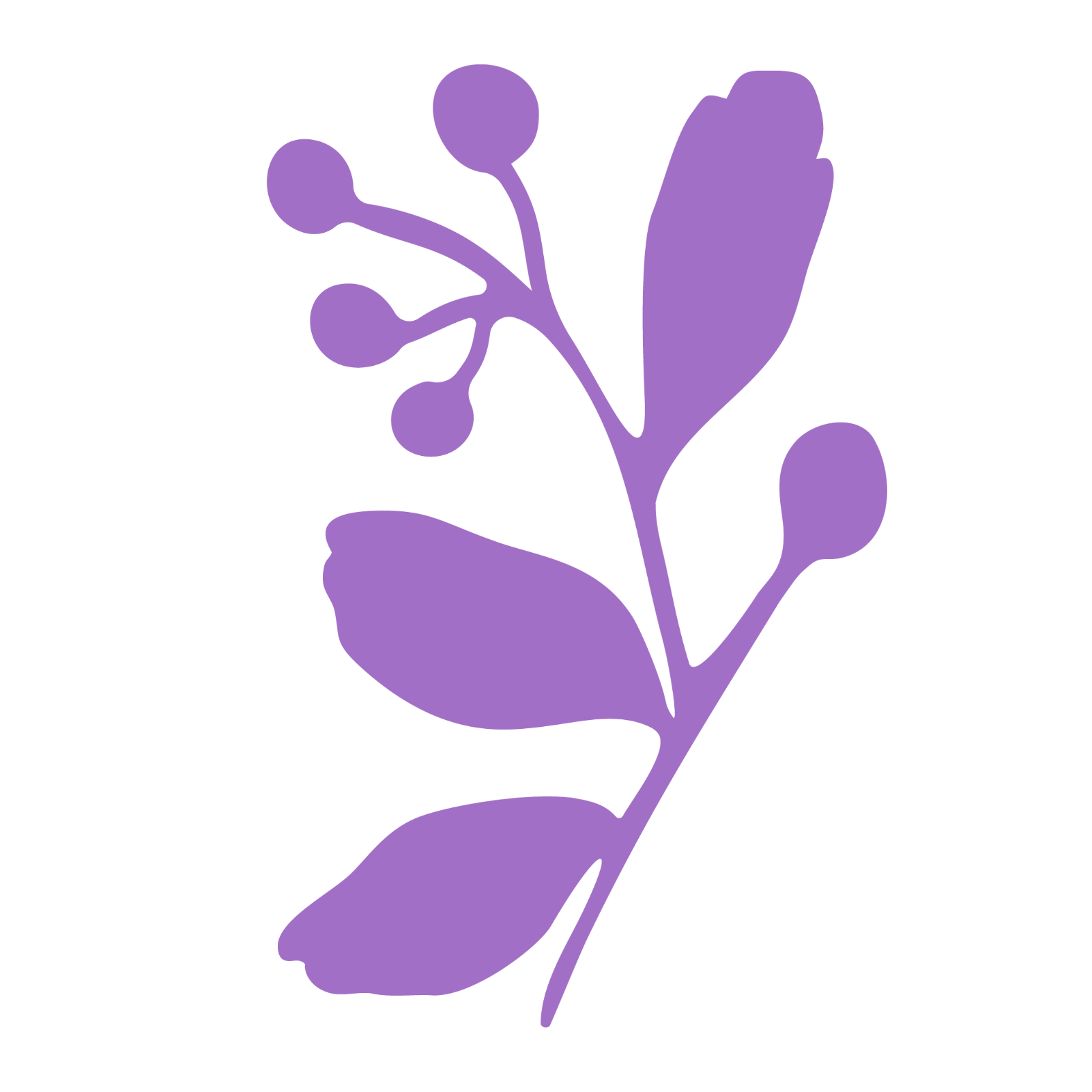 Ana