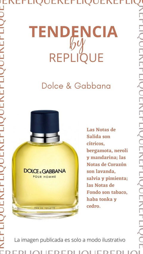 Replique Fragancias Dolce & Gabbana Masculino