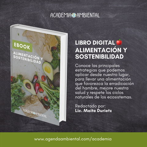 Alimentación y sostenibilidad