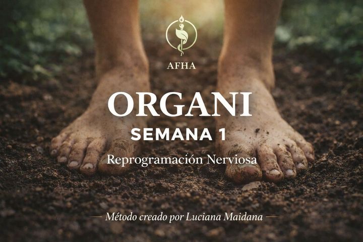 Organi semana 1 