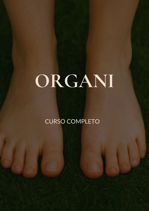Organi️ Completo